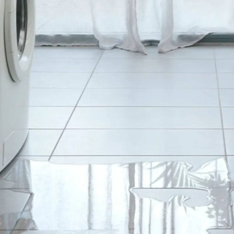 Appliance Leak Cleanup in Carnation, WA