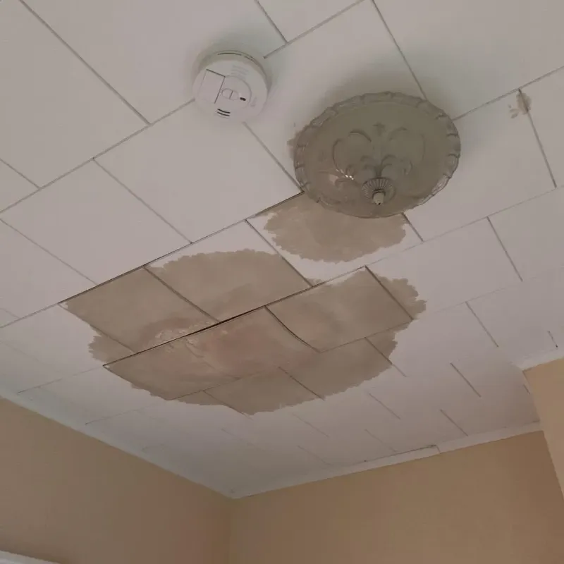 Ceiling Water Damage Repair in Carnation, WA